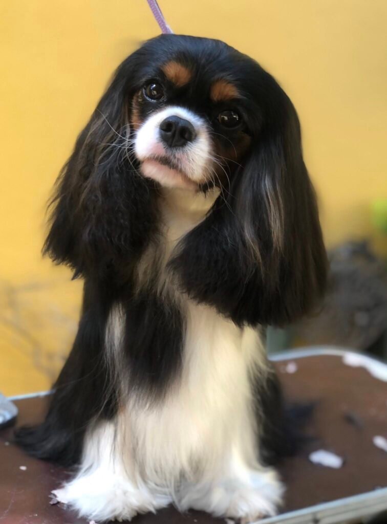 586199261_25142818062003853_2848538103848681045_n